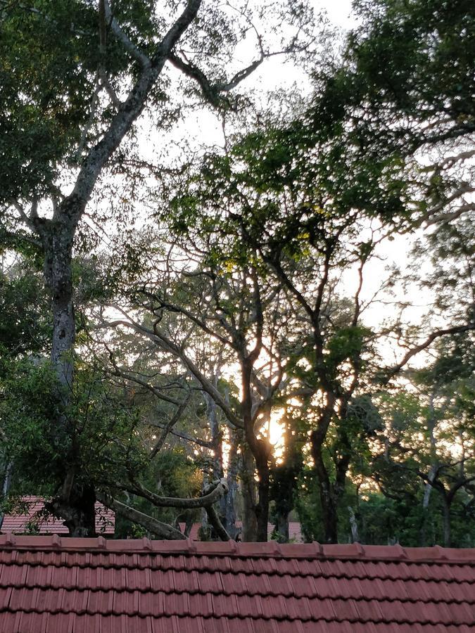 The Birchwood Retreat, Madikeri Exterior foto